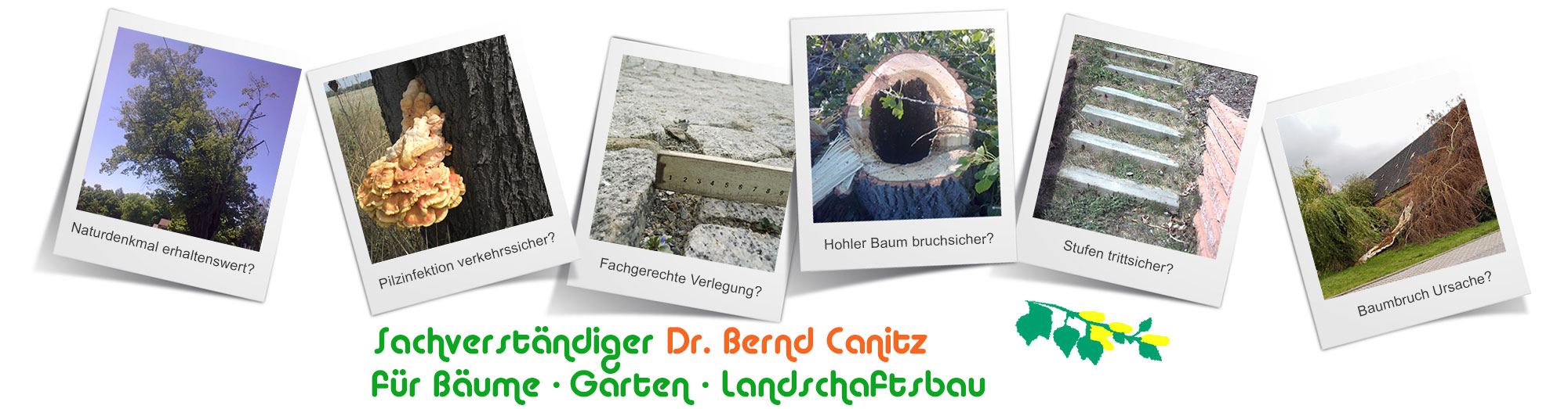 Sachverstndiger Garten und Landschaftsbau, Dr. Bernd Canitz, Sachverstndiger Galabau, Sachverstndiger, Bume, Garten- und Landschaftsbau, Gartenservice, Delitzsch, Leipzig